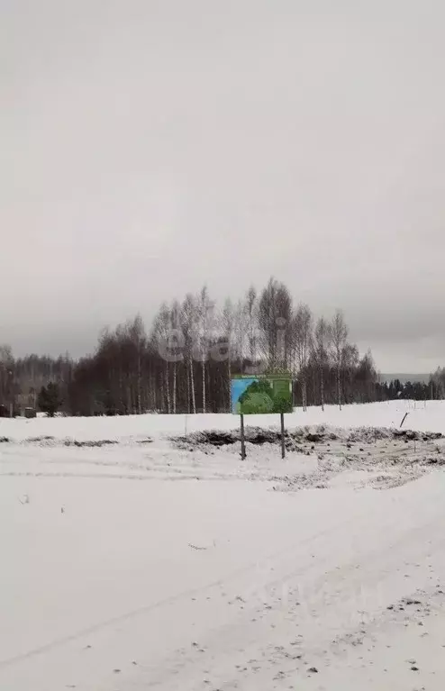 Участок в Пермский край, Добрянский городской округ, д. Залесная ул. ... - Фото 1