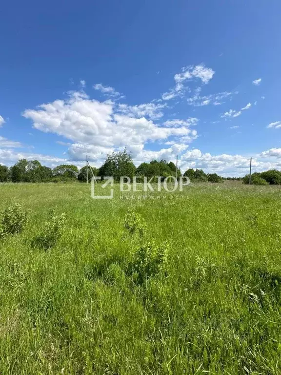 Участок в Костромская область, Кострома ул. Шарьинская (10.0 сот.) - Фото 1