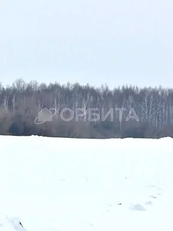 Участок в Тюменская область, Тюменский муниципальный округ, с. ... - Фото 2