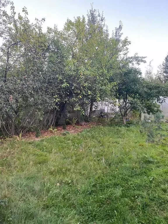 Участок 6,8 сот. (СНТ, ДНП) - Фото 0