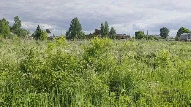Участок в Московская область, Щелково городской округ, д. Огуднево  ... - Фото 1