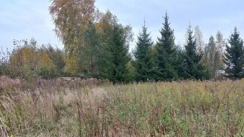 Участок в Орловская область, Орловский муниципальный округ, д. Малая ... - Фото 2
