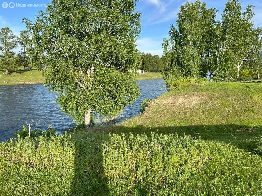 Участок в Усть-Коксинский район, село Усть-Кокса (12 м) - Фото 2