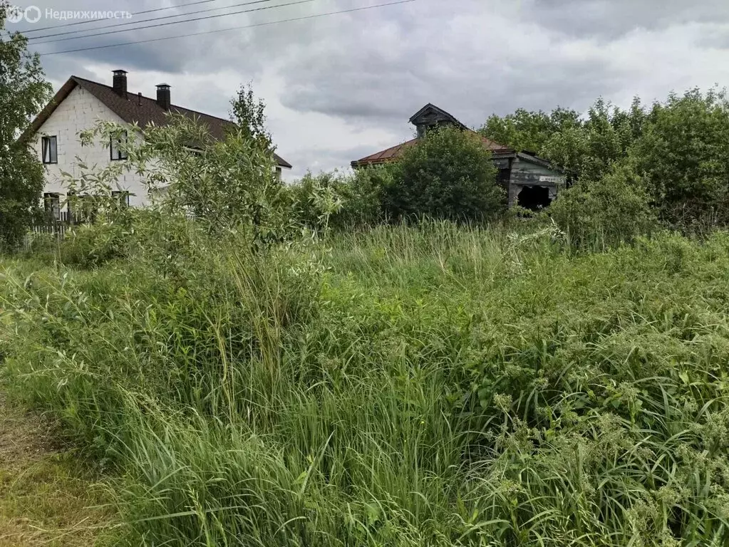 Участок в Собинка, Полевая улица, 5 (12 м) - Фото 1
