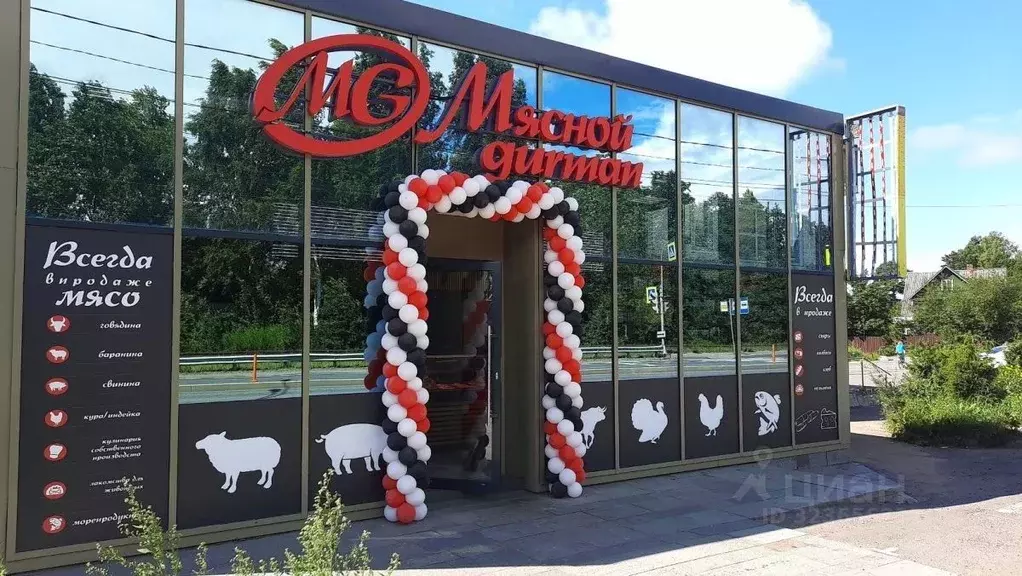 Помещение свободного назначения в Санкт-Петербург пос. Лисий Нос, ... - Фото 0