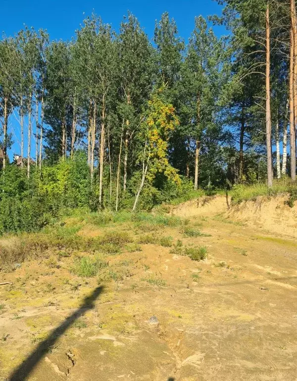 участок в ленинградская область, всеволожский район, бугровское . - Фото 0