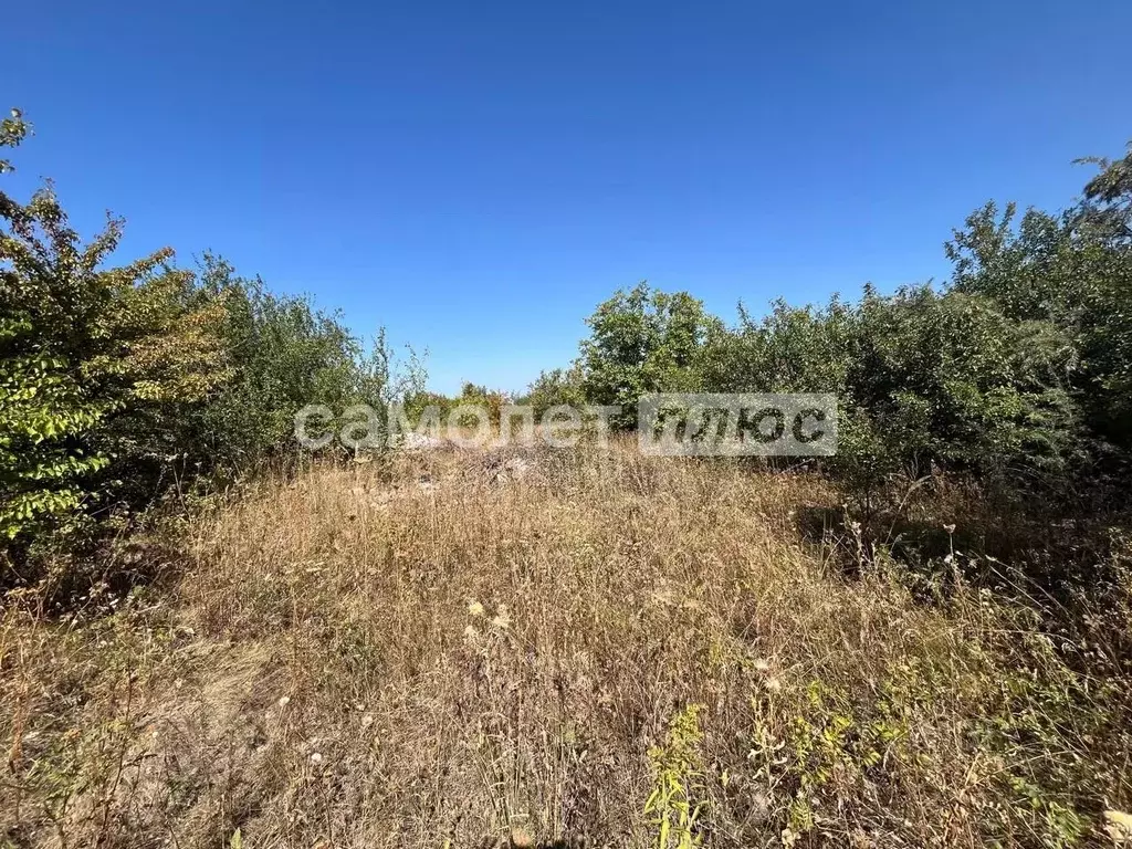 Участок в Белгородская область, Яковлевский муниципальный округ, ... - Фото 2