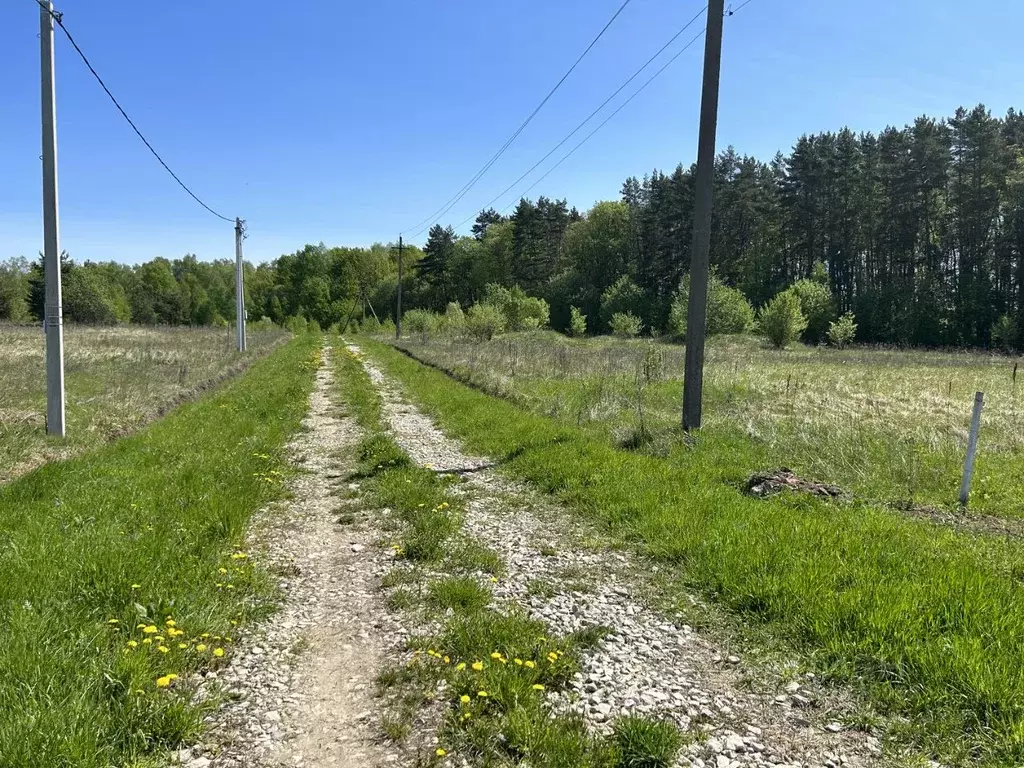 Участок в Тульская область, Заокский район, Демидовское с/пос, д. ... - Фото 2