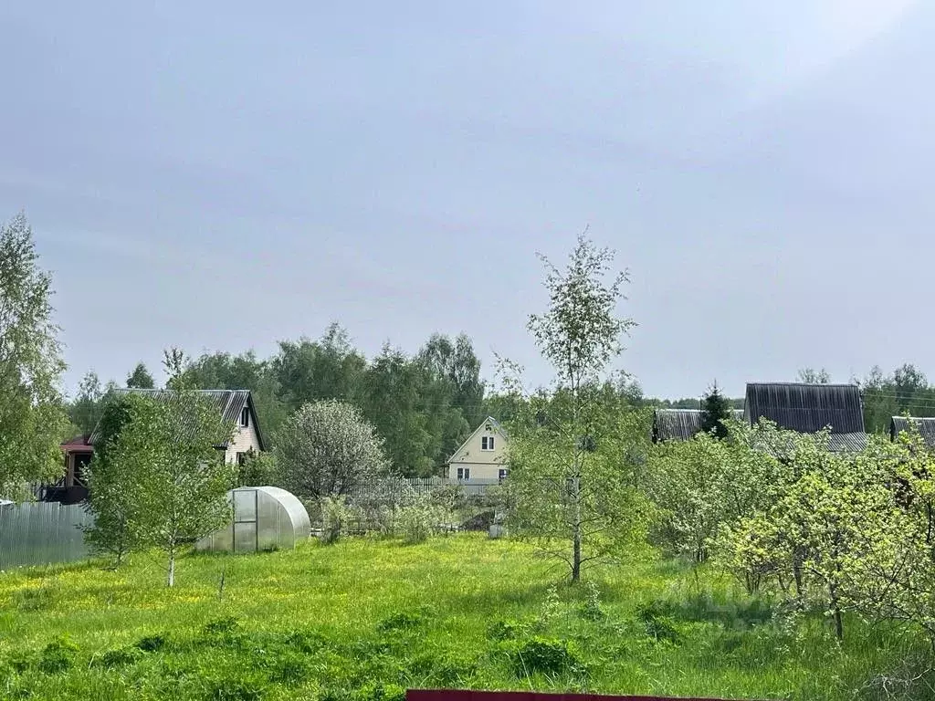 Участок в можайском районе в деревне