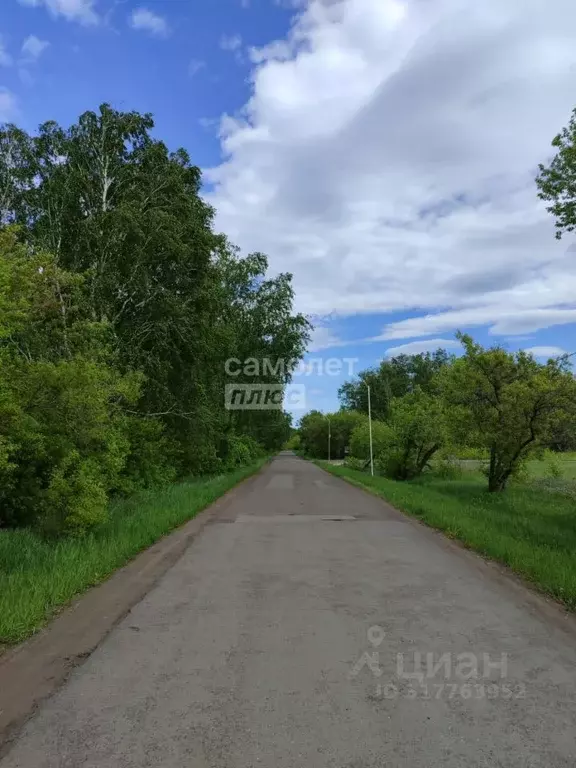 Участок в Омская область, Омский район, с. Надеждино, Березовый Стан ... - Фото 0