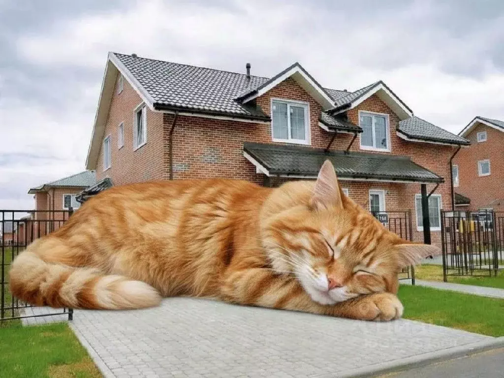 Таунхаус в Ленинградская область, Всеволожский район, Агалатовское ... - Фото 1
