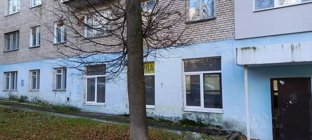 Помещение свободного назначения в Тульская область, Тула ул. Льва ... - Фото 1