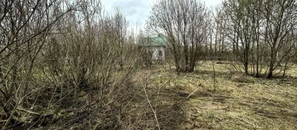 Участок в Московская область, Коломна городской округ, с. Чанки  ... - Фото 1