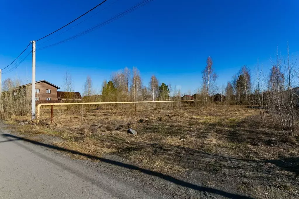 Участок в Новосибирская область, Новосибирский район, Кудряшовский ... - Фото 2
