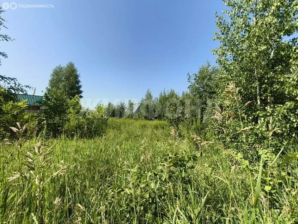 Участок в Новосибирск, Калининский район, микрорайон Пашино, улица ... - Фото 1