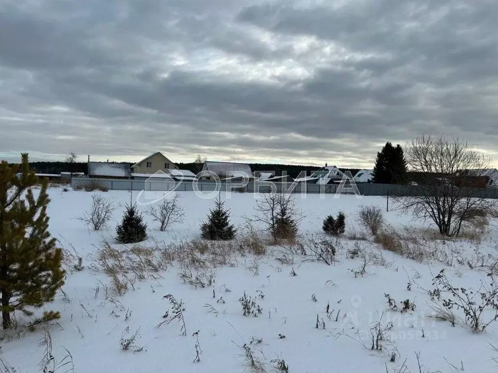 Участок в Тюменская область, Тюменский муниципальный округ, д. ... - Фото 2