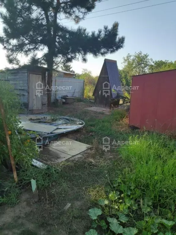 Дом в Волгоградская область, Волгоград Аврора СНТ,  (22 м) - Фото 0