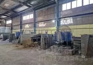 Производственное помещение в Московская область, Раменское ул. ... - Фото 1