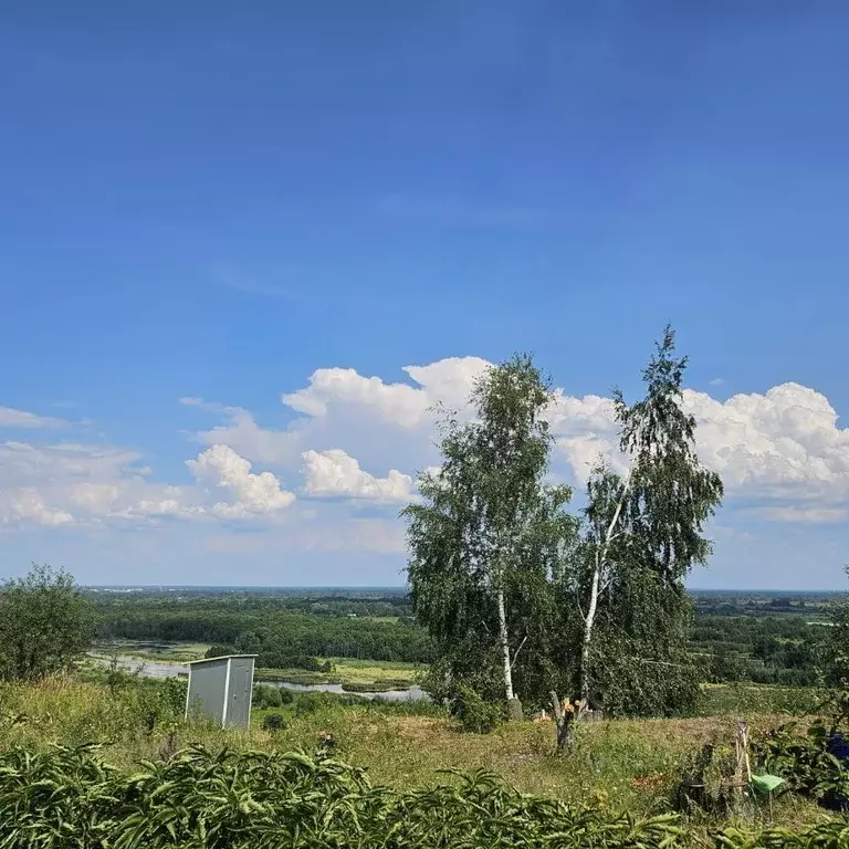 Участок в Нижегородская область, Кстовский муниципальный округ, д. ... - Фото 1