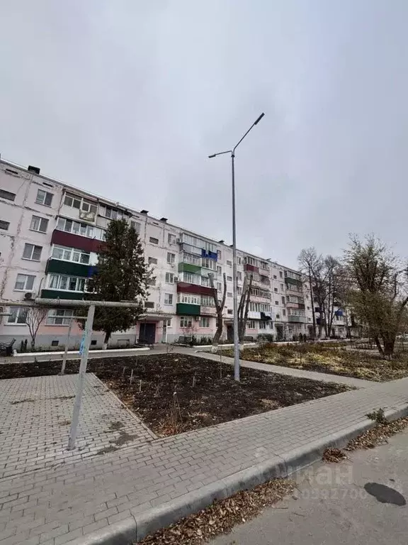 2-к кв. Белгородская область, Алексеевка ул. Пушкина, 43 (44.9 м) - Фото 0
