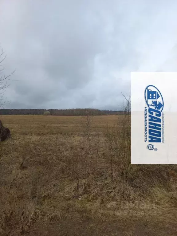 Участок в Тверская область, Калининский муниципальный округ, д. ... - Фото 1