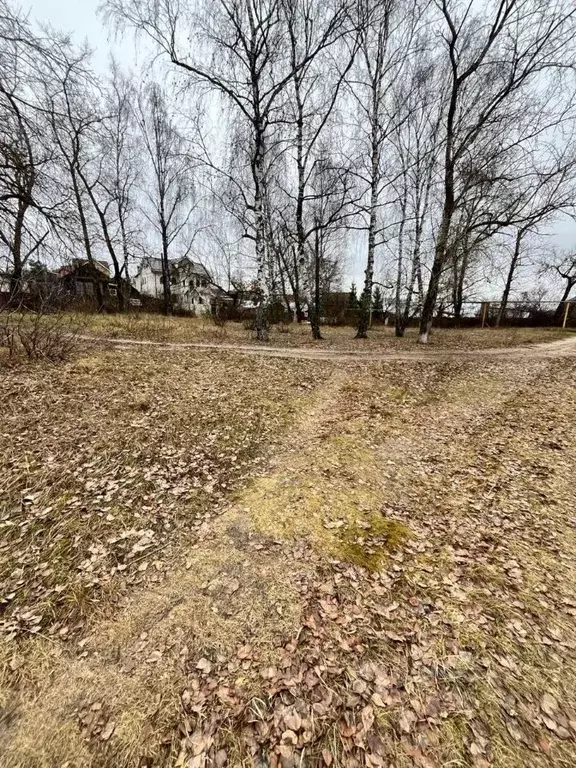 Участок в Нижегородская область, Володарский муниципальный округ, ... - Фото 2