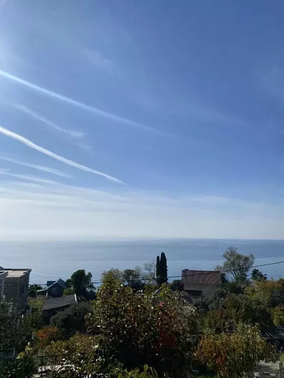 Участок в Краснодарский край, Туапсинский муниципальный округ, с. ... - Фото 1