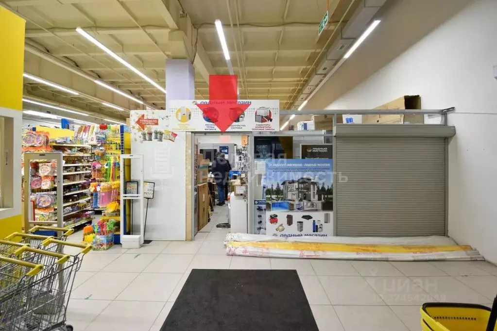 Торговая площадь в Новгородская область, Великий Новгород ул. Германа, ... - Фото 2