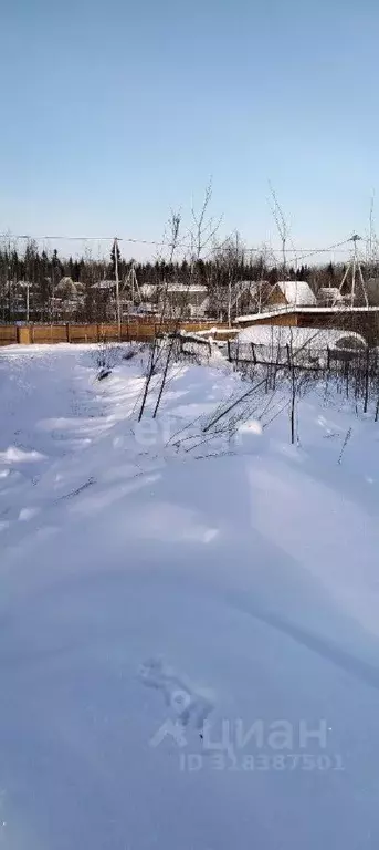 Участок в Ханты-Мансийский АО, Нефтеюганского муниципального района ... - Фото 1