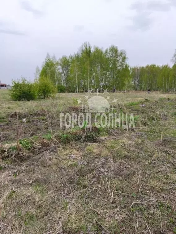 Участок в Омская область, Омск пос. Чукреевка,  (12.0 сот.) - Фото 2