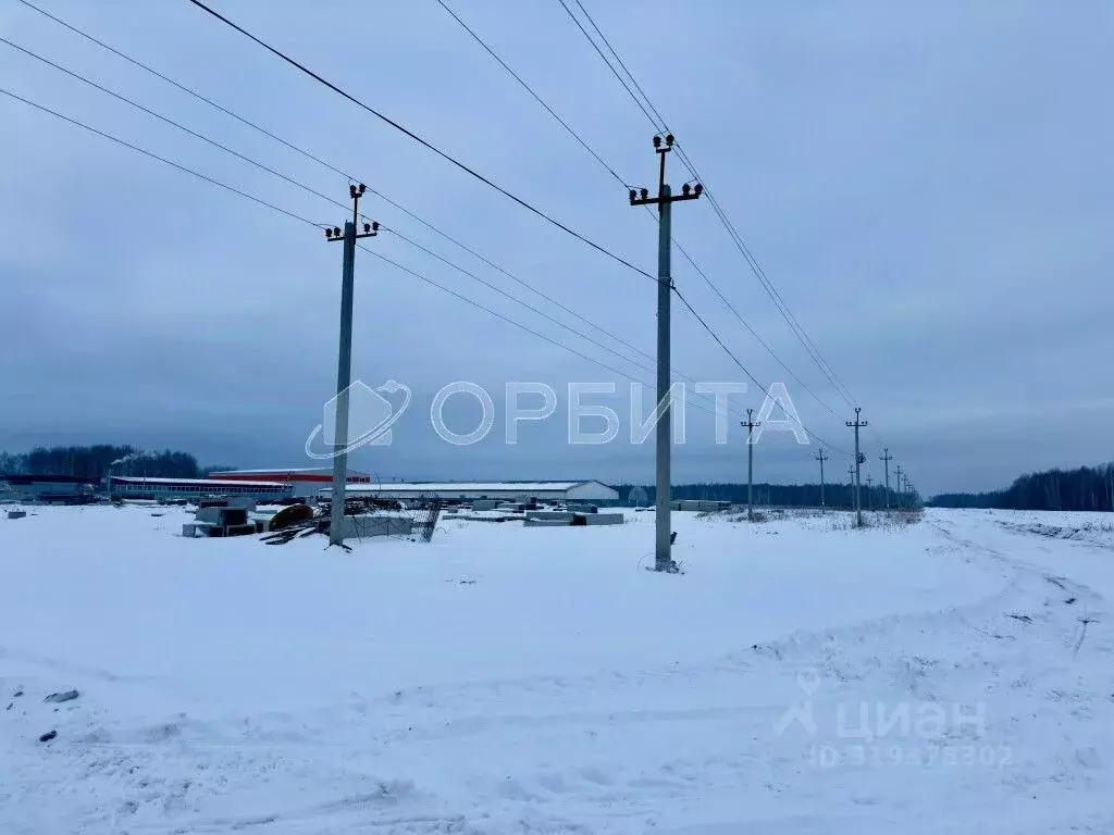 Участок в Тюменская область, Тюменский район, с. Горьковка Сибирская ... - Фото 0