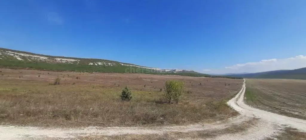 Участок в Севастополь Балаклавский р-н, Терновский муниципальный ... - Фото 2
