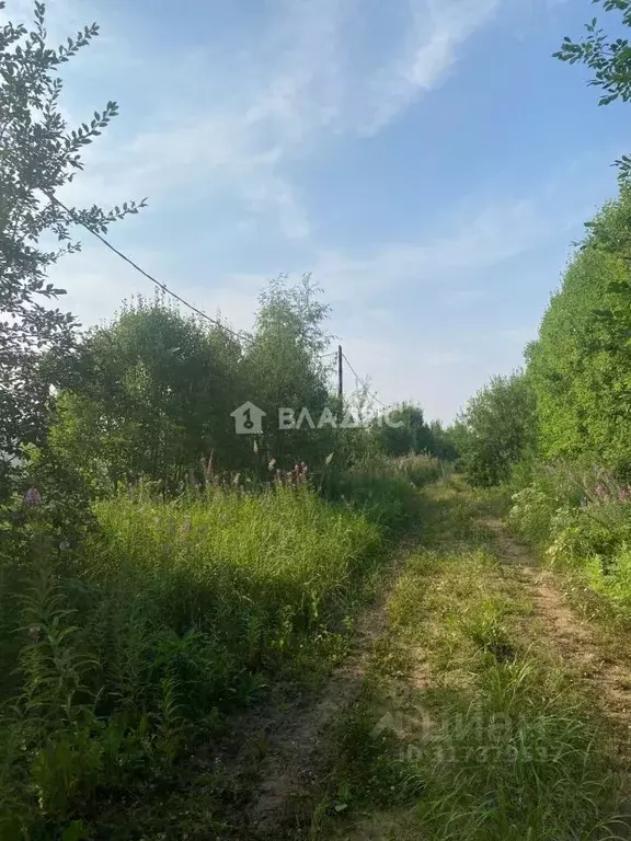 Участок в Иркутская область, Иркутский муниципальный округ, д. ... - Фото 0