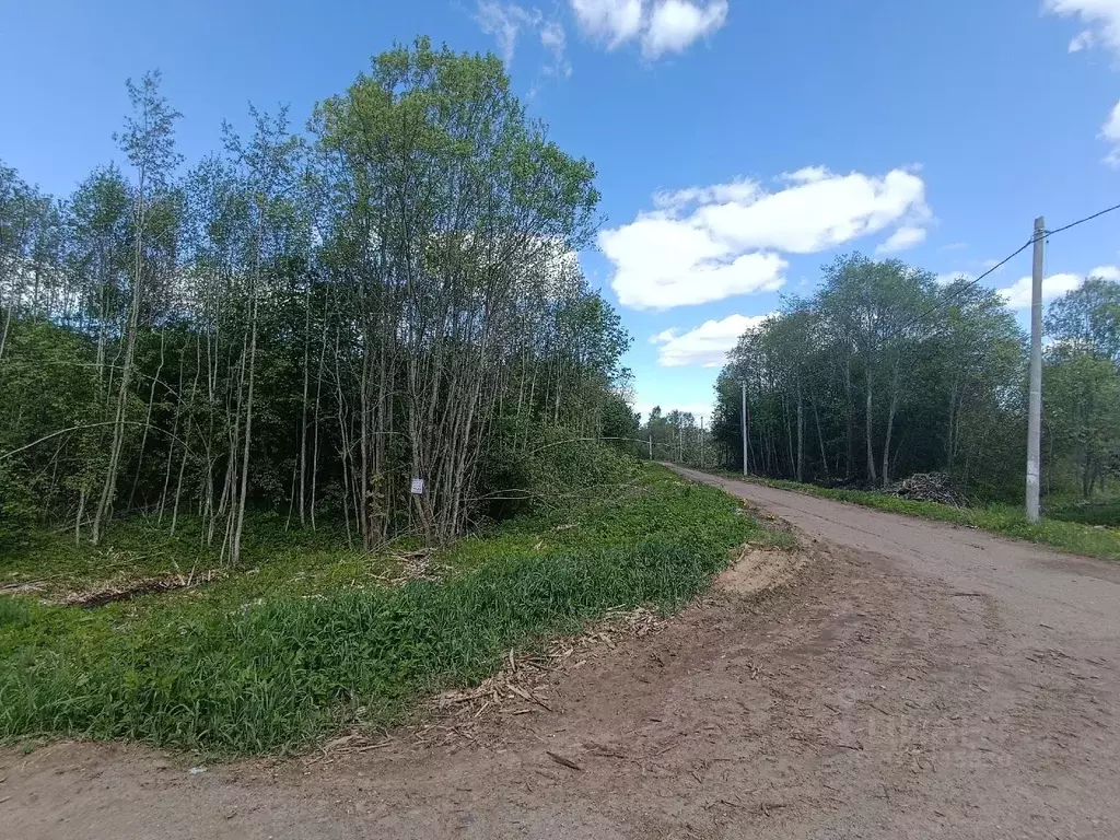 Участок в Новгородская область, Новгородский район, Савинское с/пос, ... - Фото 0