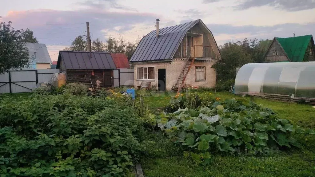 Дом в Курганская область, Курган Мостовик СНТ, 43 (50 м) - Фото 2