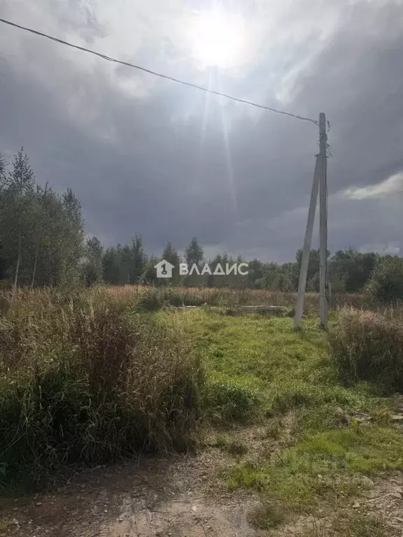 Участок в Нижегородская область, Богородский муниципальный округ, д. ... - Фото 1