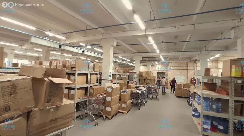 Склад (653 м) - Фото 2