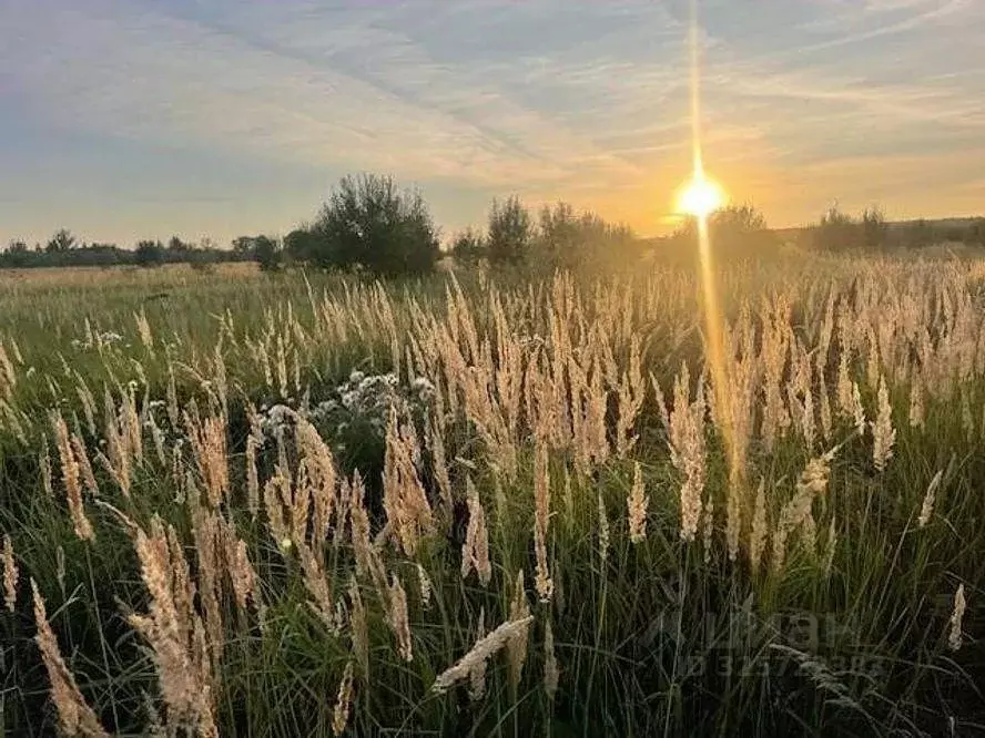 Участок в Московская область, Раменский муниципальный округ, д. ... - Фото 1