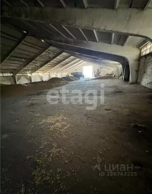 Склад в Тульская область, Алексин городской округ, д. Борисово  (1786 ... - Фото 1