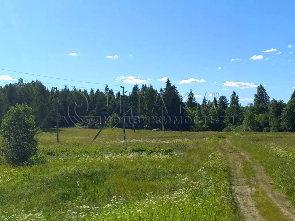 Дом в Ленинградская область, Бокситогорский район, Ефимовское ... - Фото 1