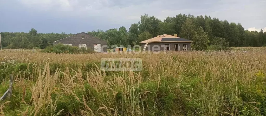 Участок в Костромская область, Кострома Малиновка кп,  (777.0 сот.) - Фото 2