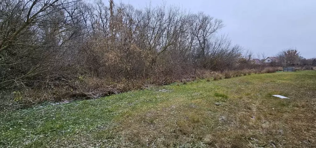 Участок в Московская область, Луховицы муниципальный округ, д. Гольный ... - Фото 2