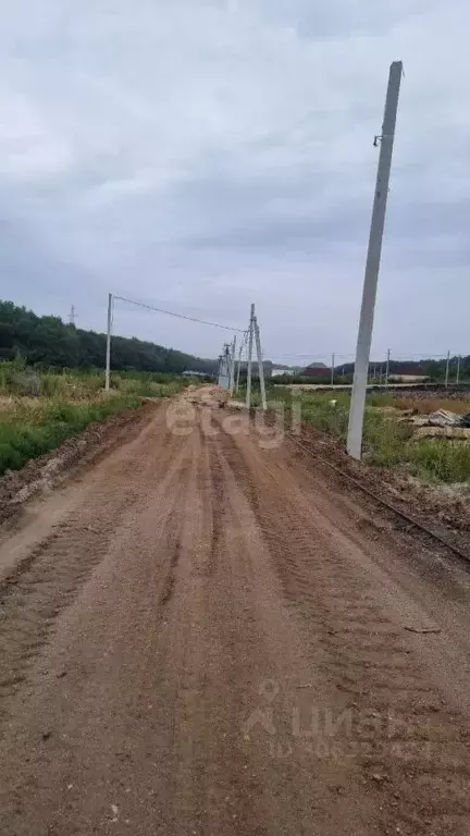 Участок в Амурская область, Благовещенский район, с. Чигири ул. Мира ... - Фото 1