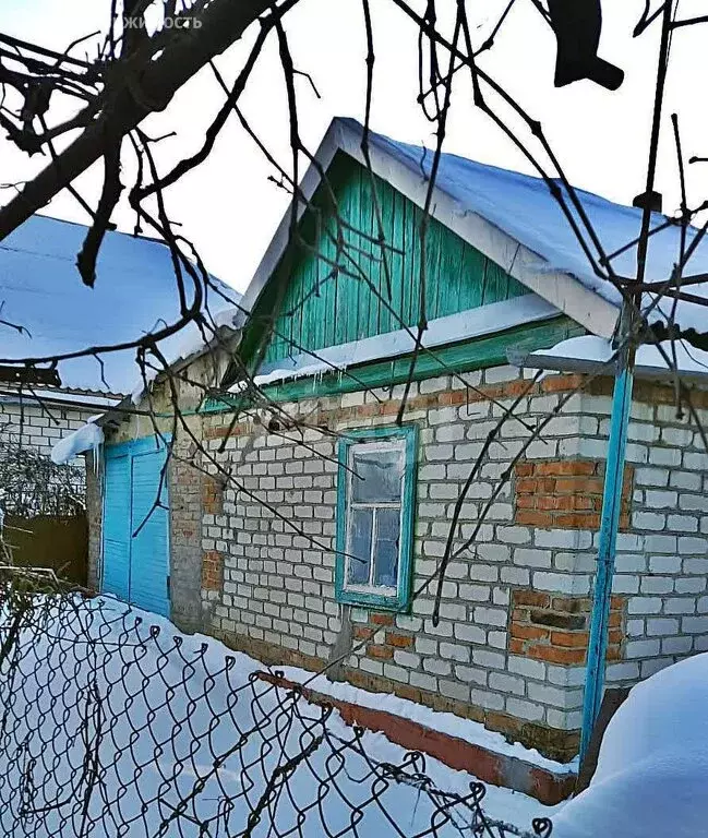 3-комнатная квартира: Ставропольский край, Новоалександровский ... - Фото 1