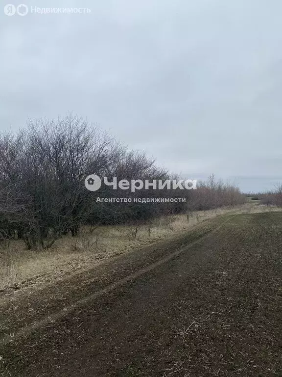 Участок в Табунщиковское сельское поселение, посёлок Рябиновка, улица ... - Фото 0