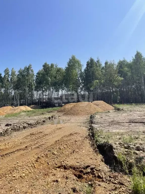 Участок в Амурская область, Благовещенский район, с. Чигири ул. ... - Фото 0