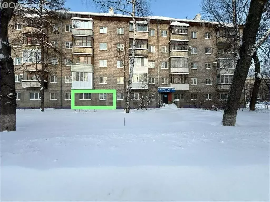 1-комнатная квартира: Нижний Новгород, проспект Героев, 31 (27.7 м) - Фото 1