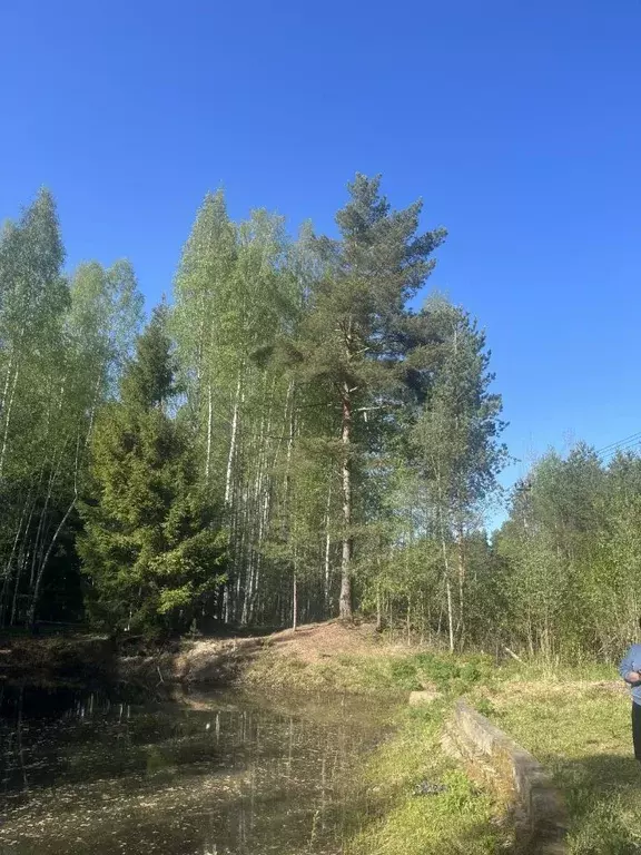 Участок в Ленинградская область, Всеволожское городское поселение  ... - Фото 0