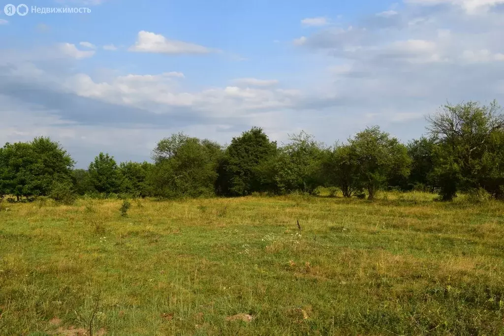 Участок в Переправненское сельское поселение, хутор Центральный, ... - Фото 1