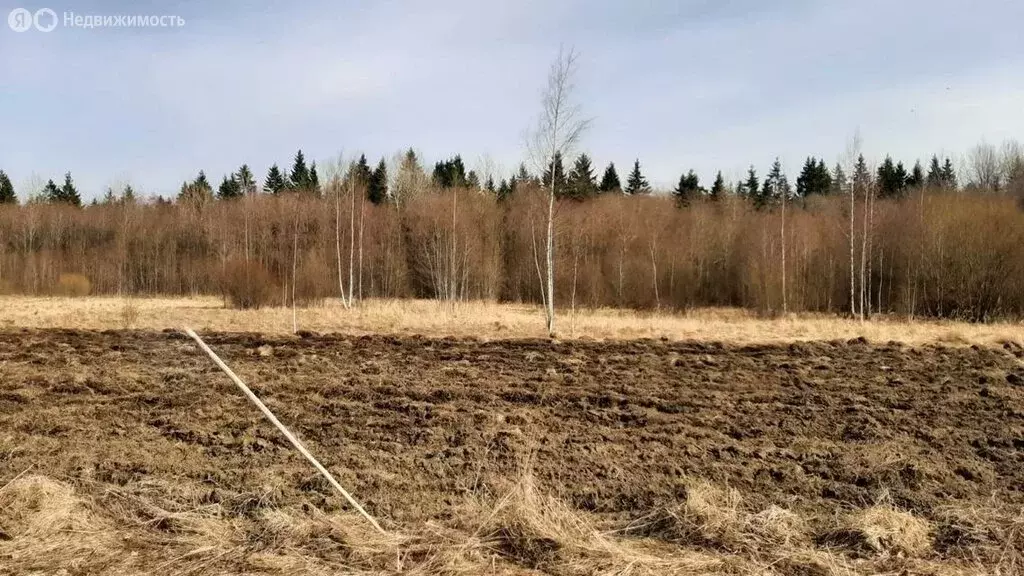 Участок в Ленинградская область, Гатчинский муниципальный округ, ... - Фото 0